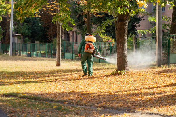 Professional Pest Control in San Antonio, FL