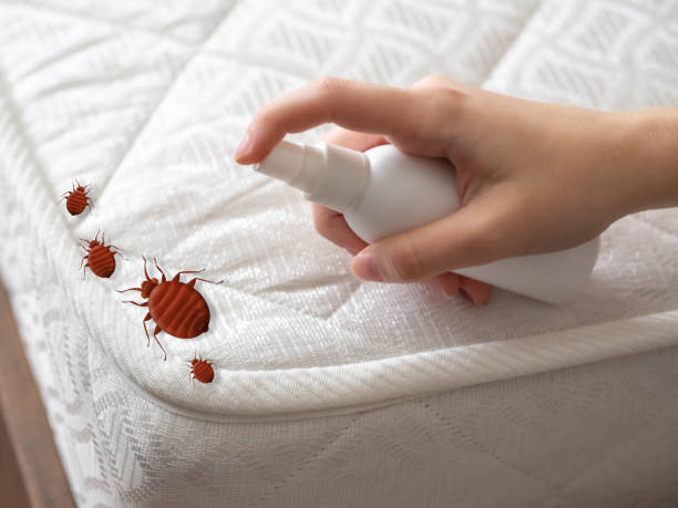 Reliable San Antonio, FL Pest Control Solutions